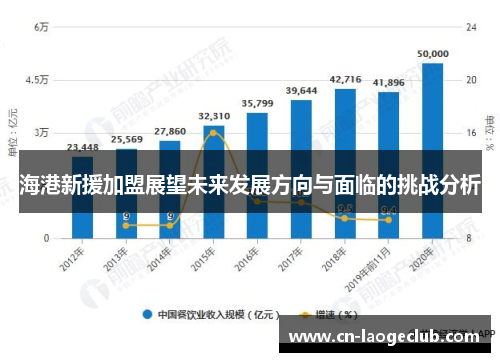 海港新援加盟展望未来发展方向与面临的挑战分析