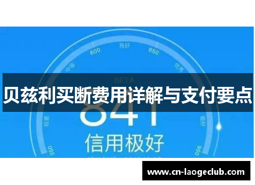 贝兹利买断费用详解与支付要点