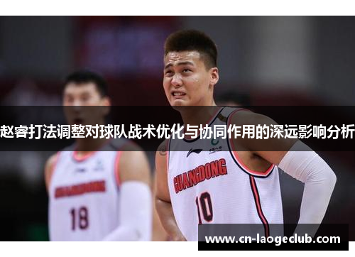 赵睿打法调整对球队战术优化与协同作用的深远影响分析