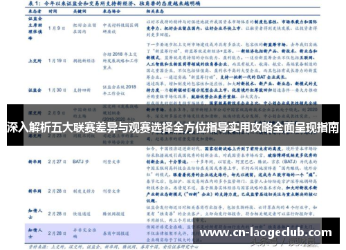 深入解析五大联赛差异与观赛选择全方位指导实用攻略全面呈现指南