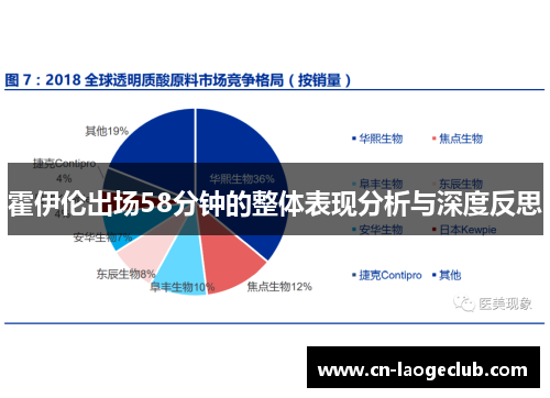 霍伊伦出场58分钟的整体表现分析与深度反思 霍伊伦出场58分钟的整体表现分析与深度反思