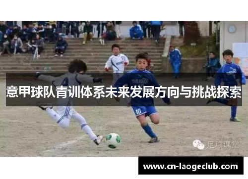 意甲球队青训体系未来发展方向与挑战探索