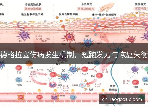 德格拉塞伤病发生机制，短跑发力与恢复失衡